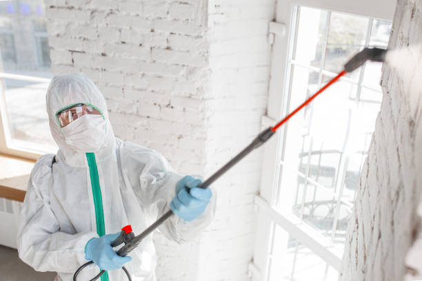 Best Residential Mold Inspection & Testing  in Billings, MT
