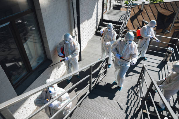 Best Air Quality Testing for Mold Spores  in Billings, MT