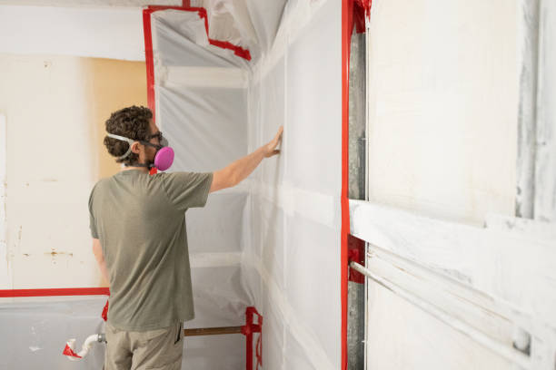 Best Post-Construction Mold Inspection  in Billings, MT
