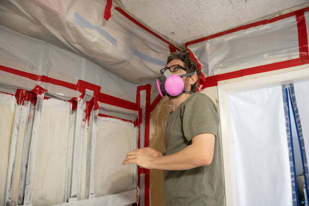 Best Black Mold Removal  in Billings, MT