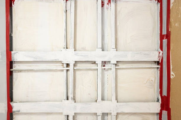 Best Commercial Mold Inspection  in Billings, MT