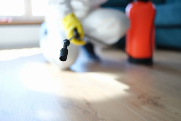 Best Water Damage & Mold Remediation  in Billings, MT
