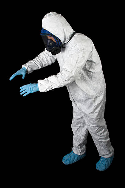 Best Basement Mold Removal  in Billings, MT