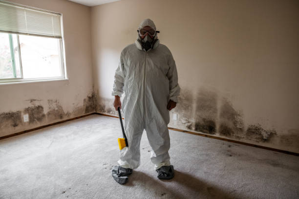 Best Asbestos and Lead Testing During Mold Inspection  in Billings, MT