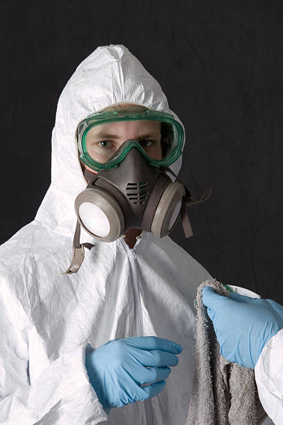 Best Emergency Mold Remediation  in Billings, MT